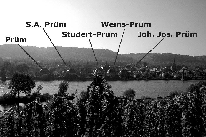 Die Prüm-Weingüter in Wehlen, beschriftete Ansicht