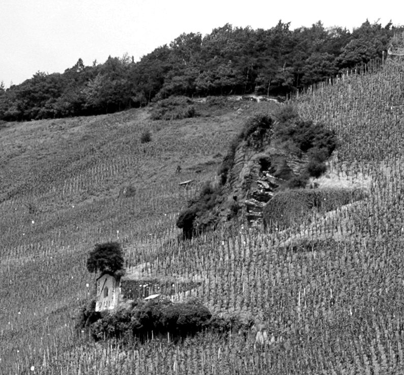 Die Wehlener Sonnenuhr, historische Aufnahme