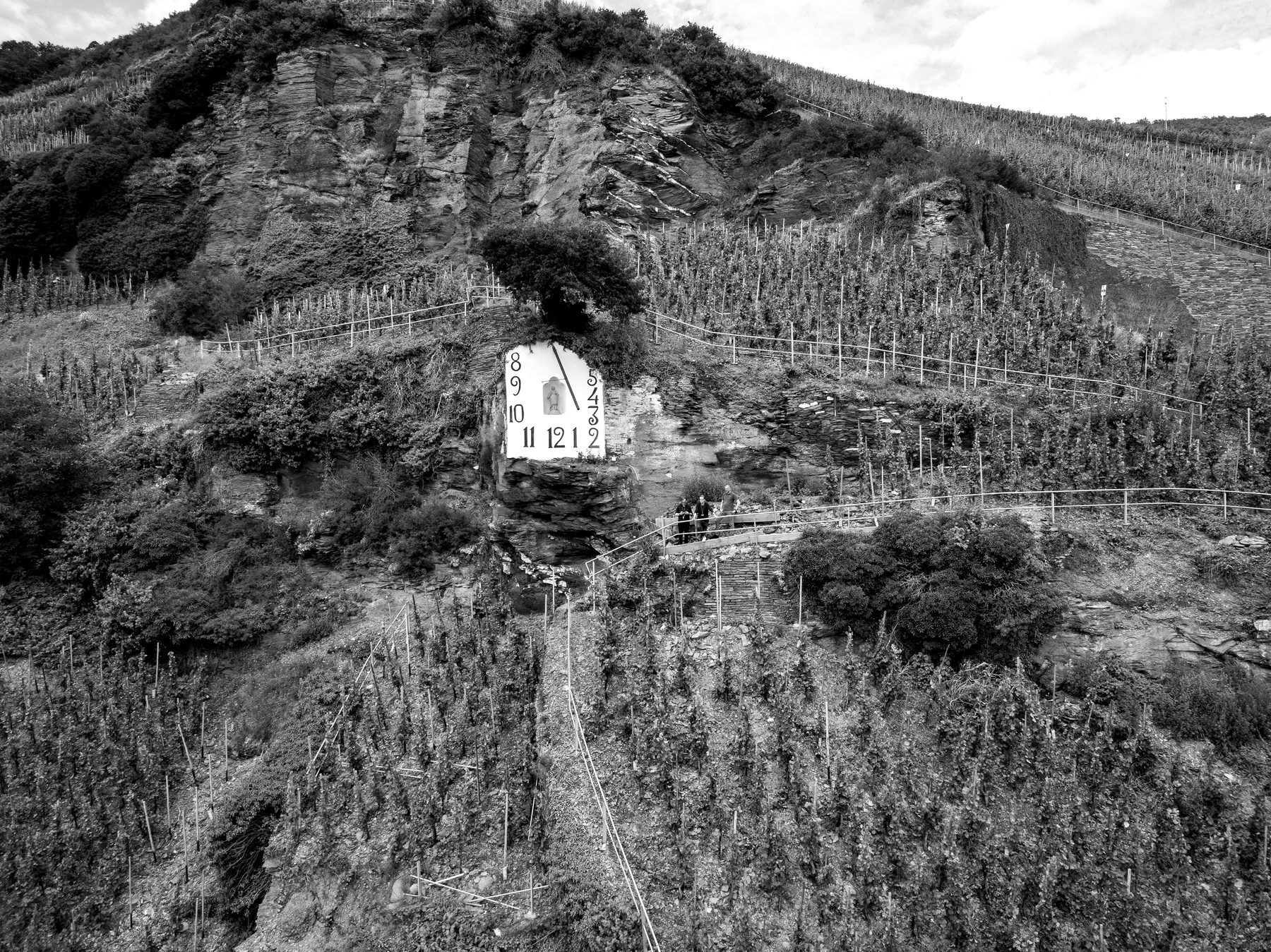 Steilhang der Wehlener Sonnenuhr mit Schieferfels