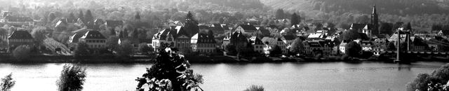 Wehlen, Panorama vom anderen Ufer