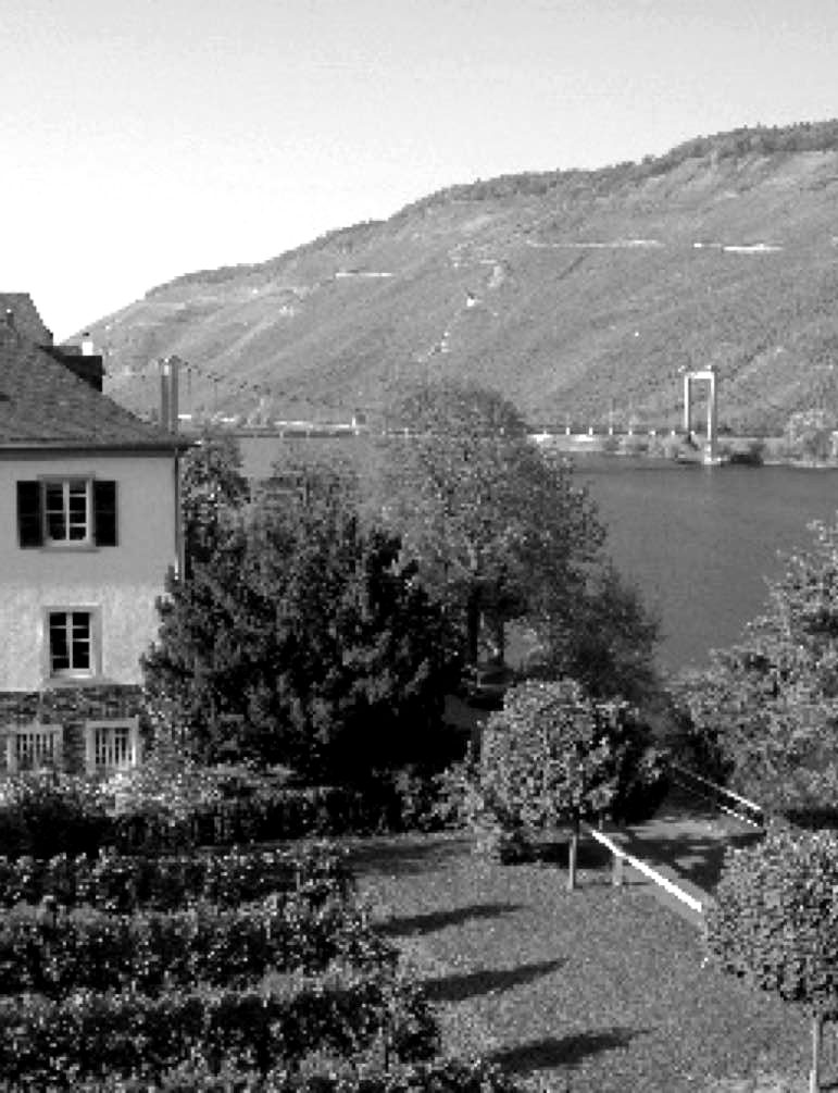 Weingut S. A. Prüm